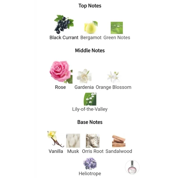 Valentino Rock 'n Rose - 50 - Discontinued - Picture 2 of 7